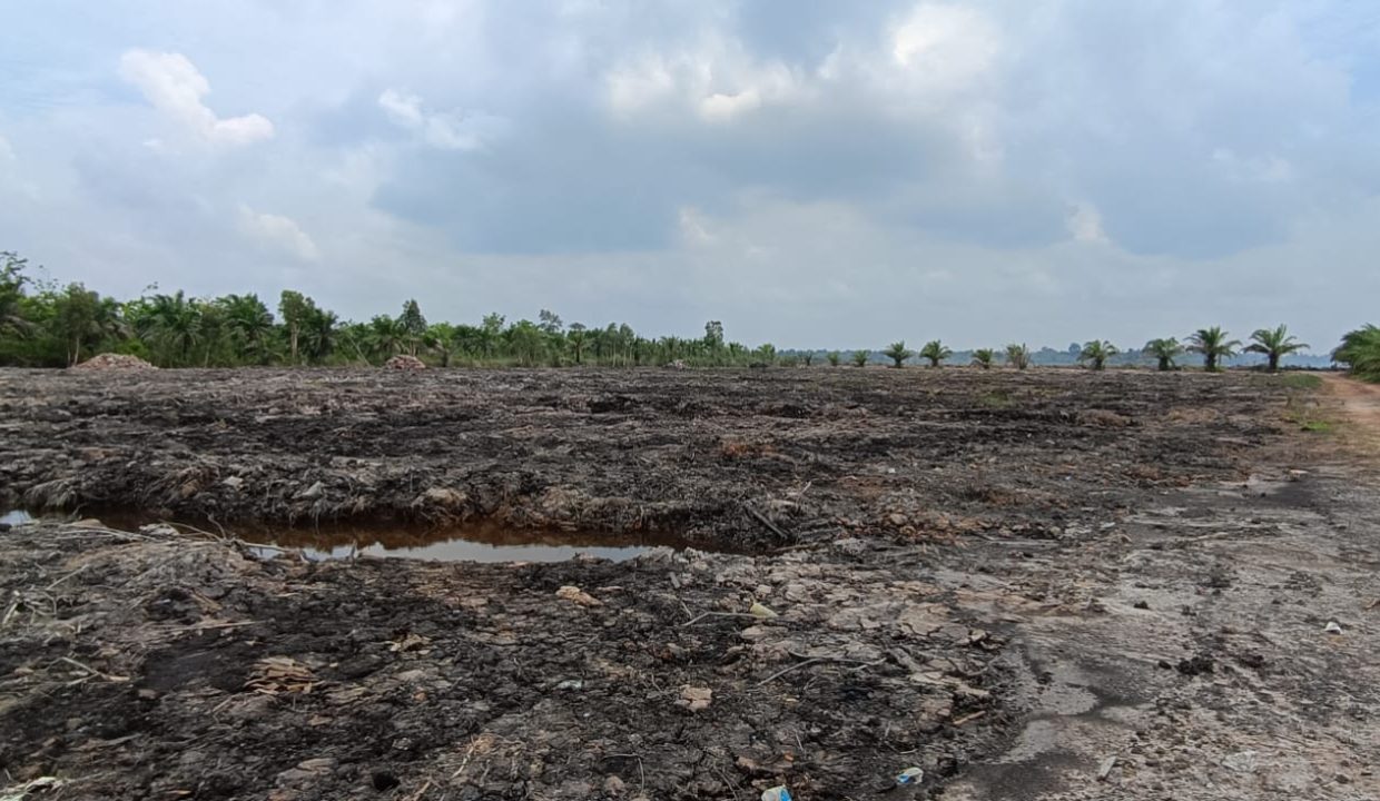 DIJUAL TANAH PANGKALAN BENTENG (1)