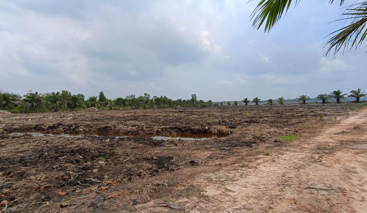 DIJUAL TANAH PANGKALAN BENTENG (2)