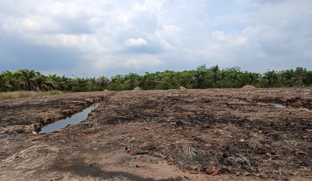 DIJUAL TANAH PANGKALAN BENTENG (3)