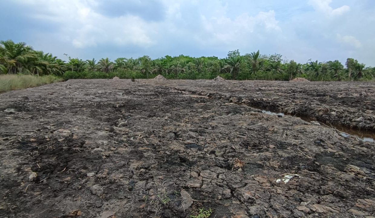 DIJUAL TANAH PANGKALAN BENTENG (5)