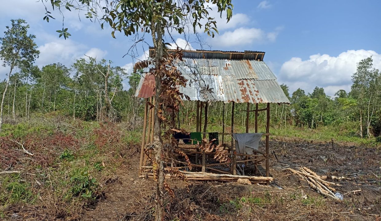 DIJUAL TANAH SEMATANG BORANG PALEMBANG (2)