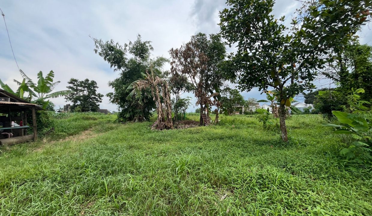 DIJUAL TANAH SUKARELA PALEMBANG (13)