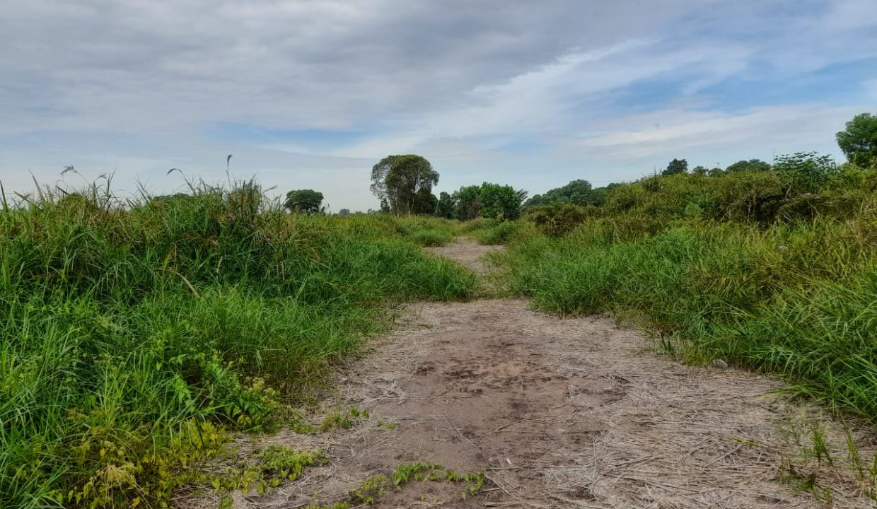 DIJUAL TANAH SUNGAI PINANG (2)