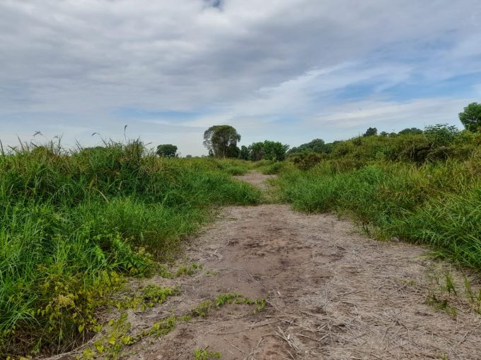 DIJUAL TANAH SUPER LUAS JAKABARING PALEMBANG DEKAT SEKOLAH OLAHRAGA SUMSEL