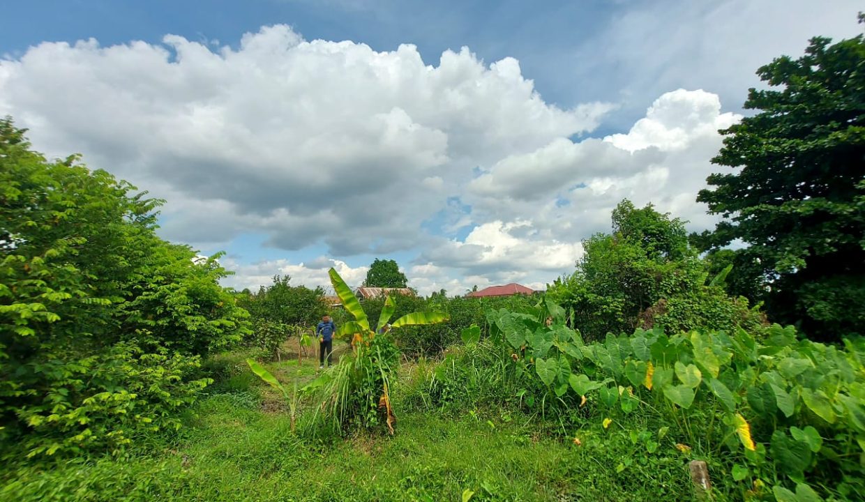 DIJUAL TANAH JALAN AMD TALANG JAMBE PALEMBANG (4)