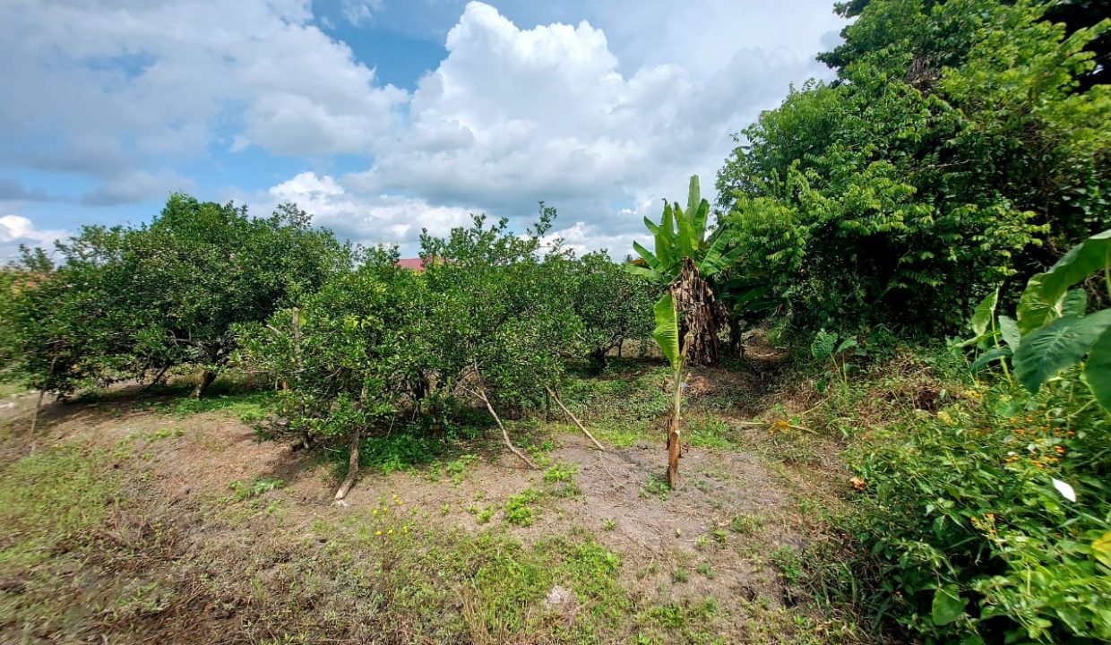 DIJUAL TANAH JALAN AMD TALANG JAMBE PALEMBANG (6)