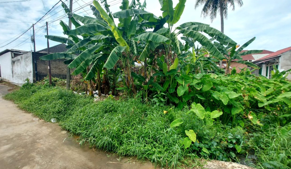 DIJUAL TANAH JALAN PAYO DURIAN SAKO PALEMBANG (8)