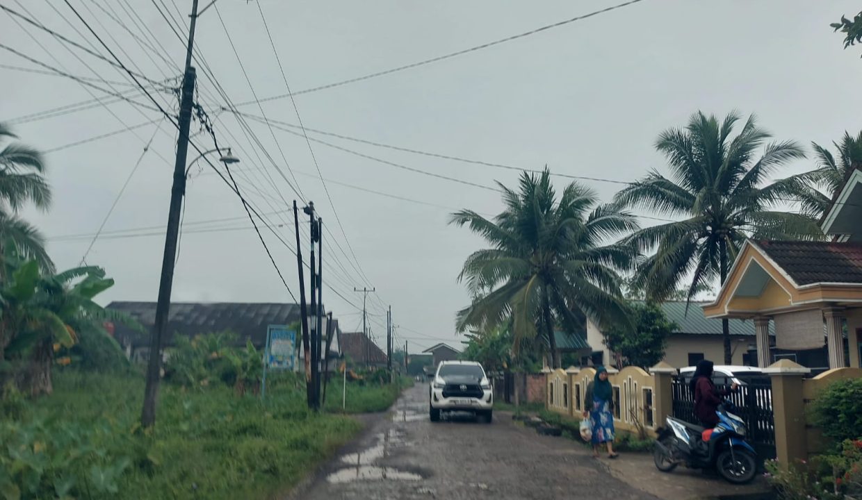 DIJUAL TANAH SRIGADING KM 14 BANYUASIN (2)