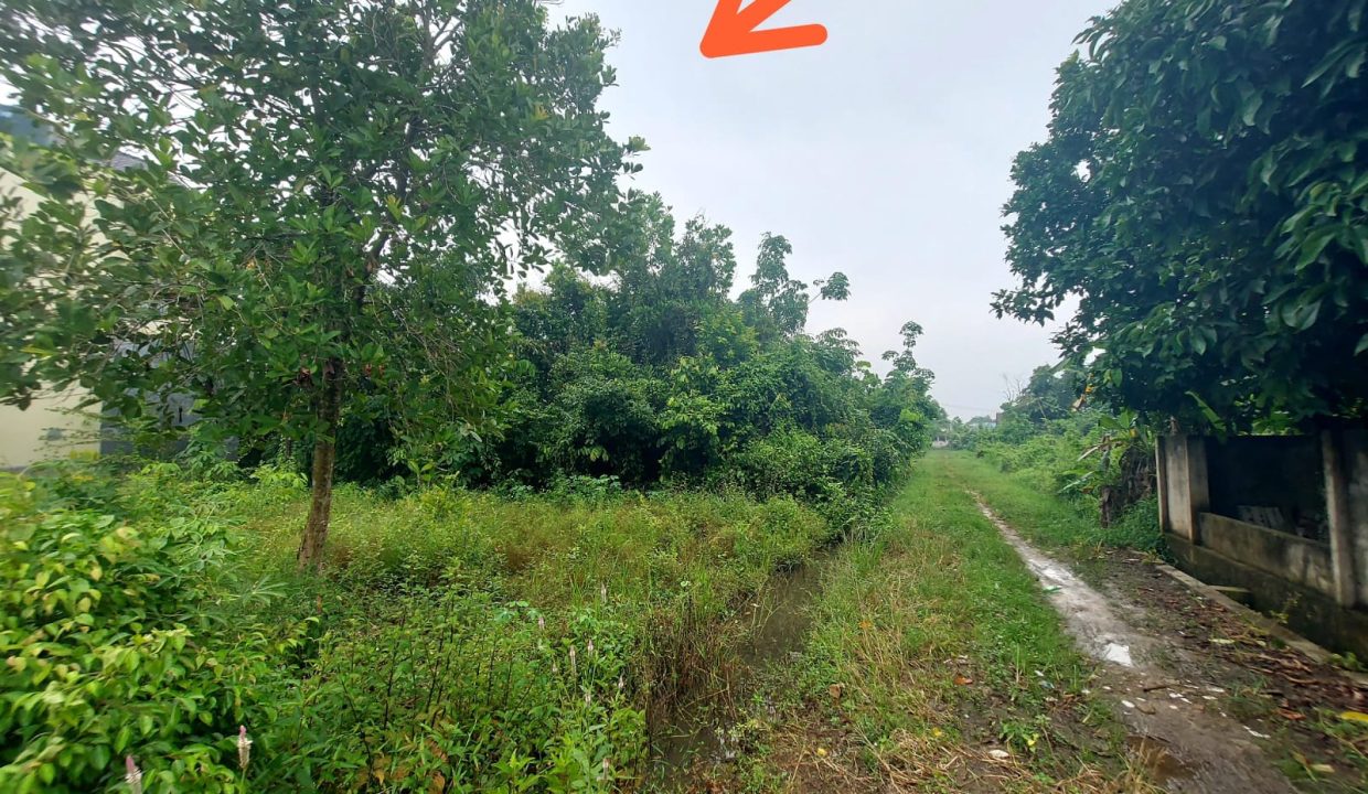 DIJUAL TANAH SRIGADING KM 14 BANYUASIN (5)
