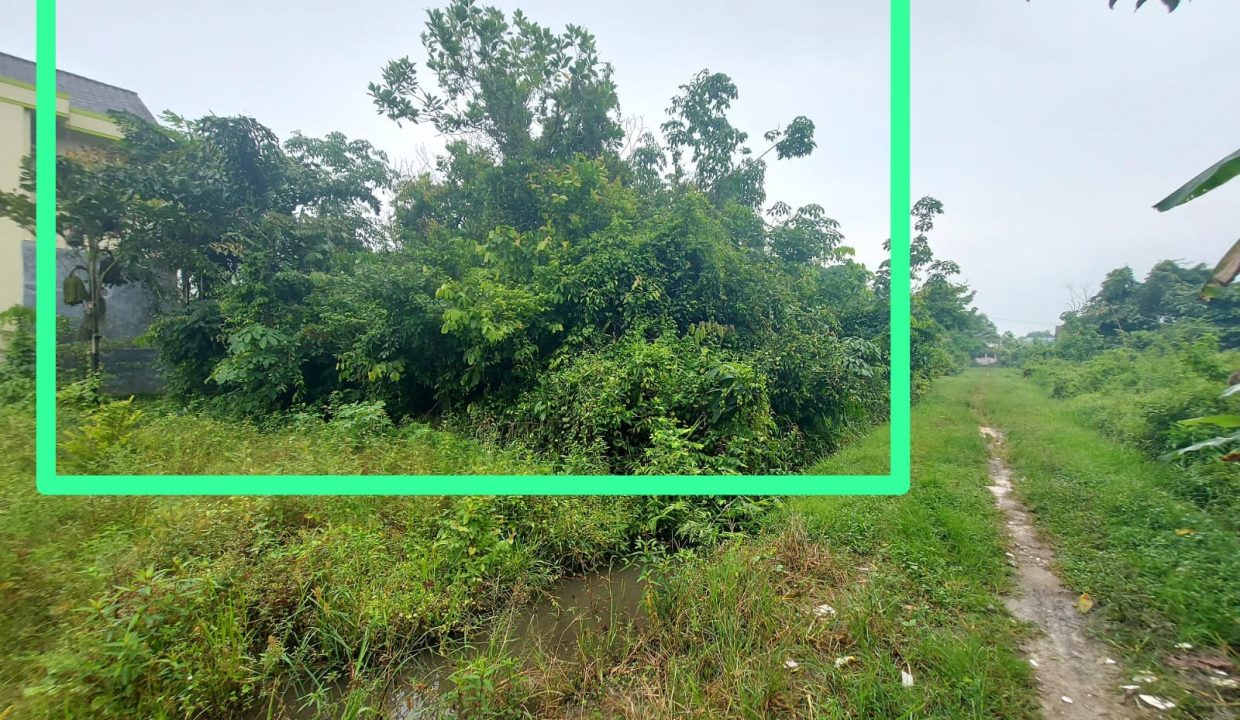 DIJUAL TANAH SRIGADING KM 14 BANYUASIN (6)