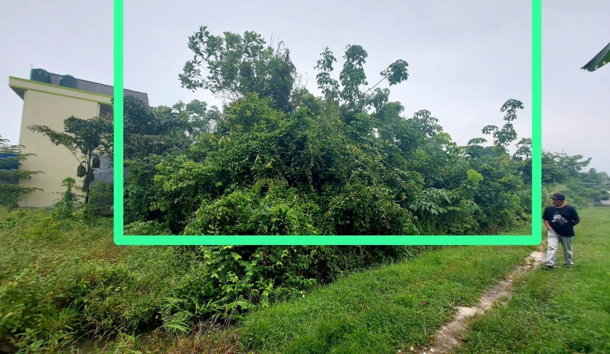 DIJUAL TANAH SRIGADING KM 14 BANYUASIN (7)