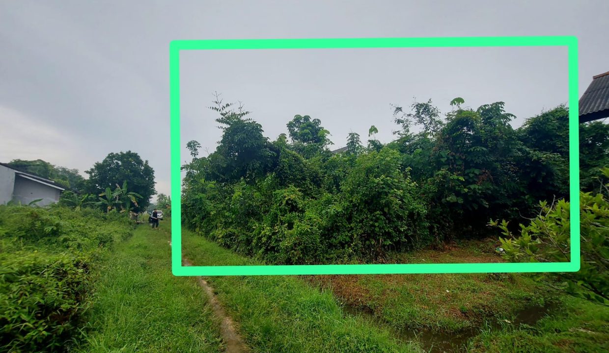 DIJUAL TANAH SRIGADING KM 14 BANYUASIN (8)