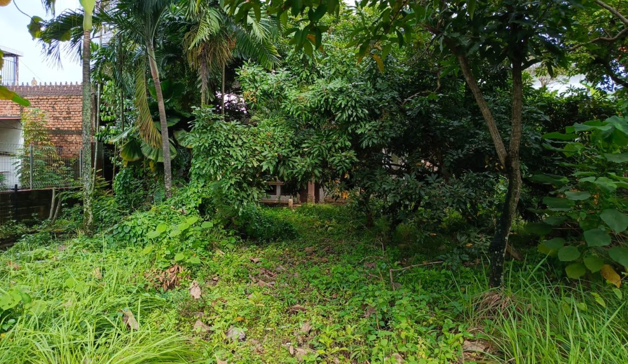 DIJUAL LAHAN TANJUNG HARAPAN DPRD PALEMBANG (51)