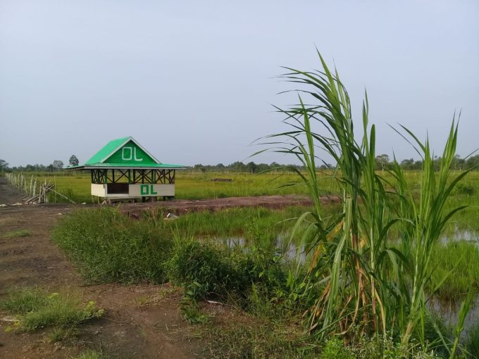 TANAH 28 HEKTAR MUSI 2 PALEMBANG (1)