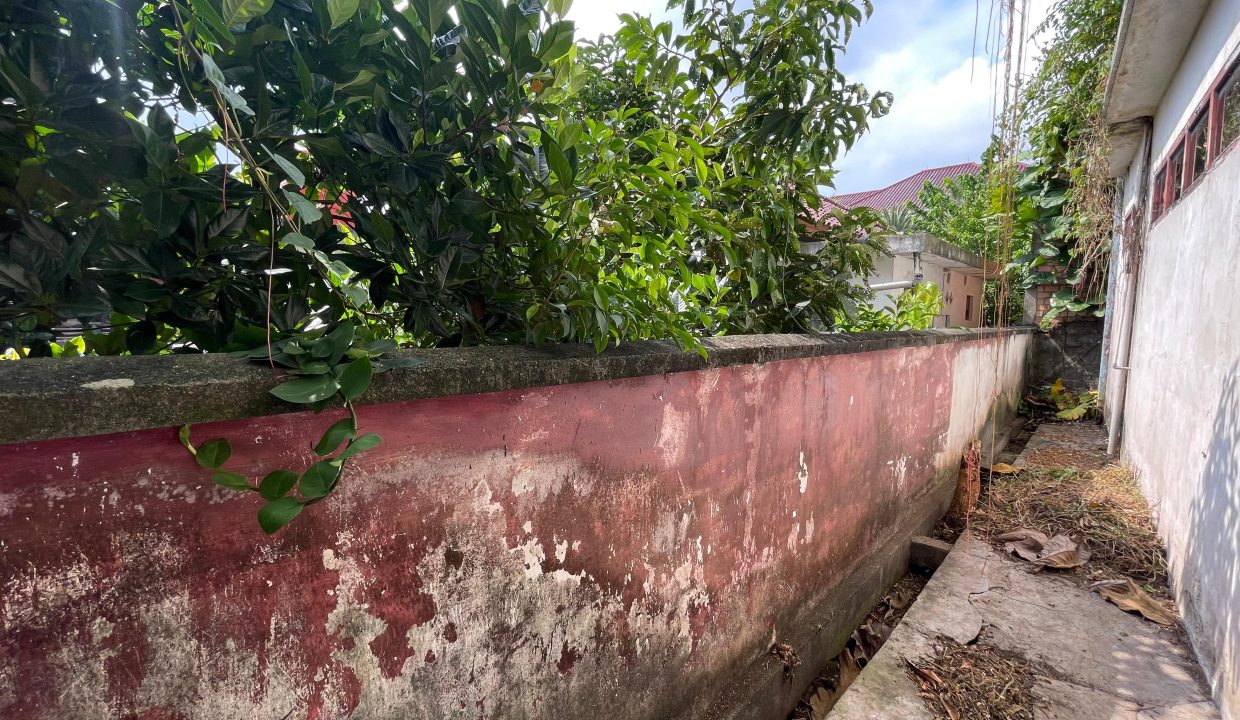 TANAH + RUMAH KAMBANG IWAK PALEMBANG (16)