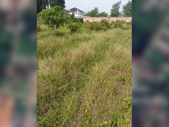 DIJUAL LAHAN DEKAT POLSEK SEMATANG BORANG PALEMBANG