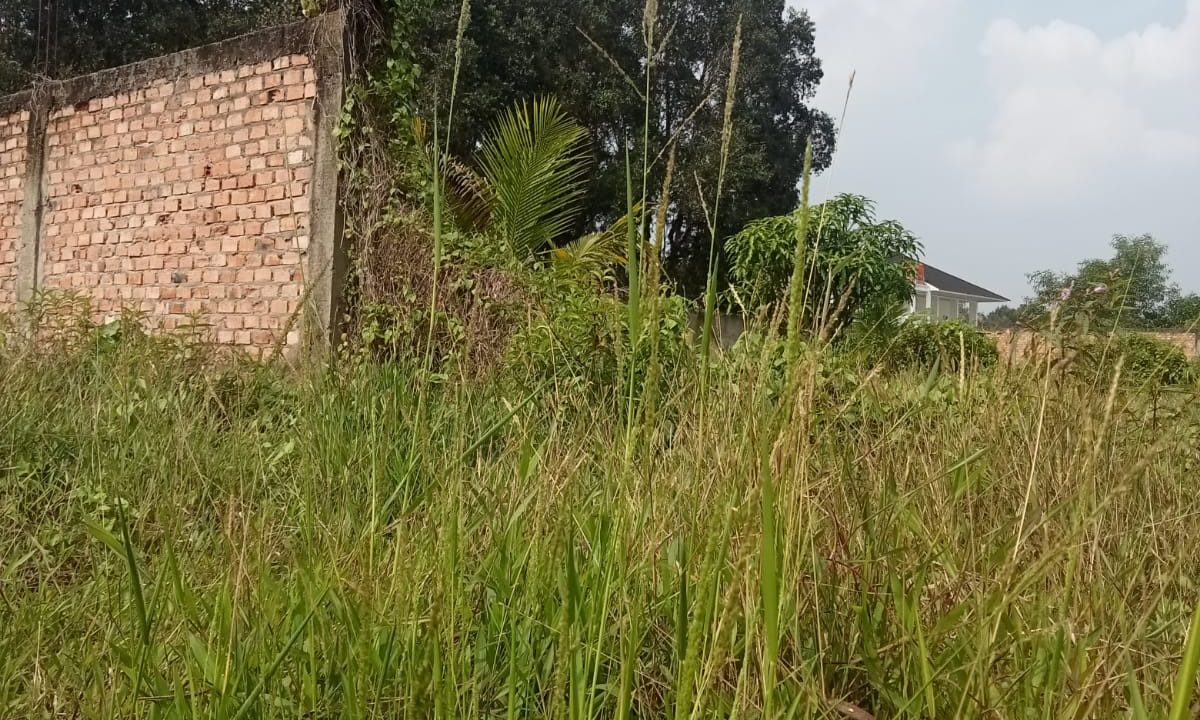 TANAH SEMATANG BORANG (4)