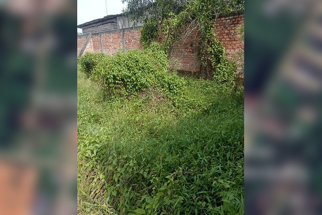 TANAH SEMATANG BORANG (5)