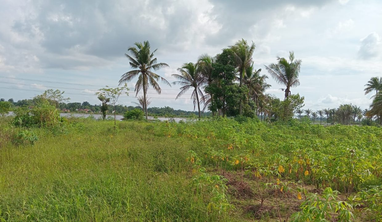 TANAH TALANG PUTRI SUNGAI PINANG PLAJU PALEMBANG (1)