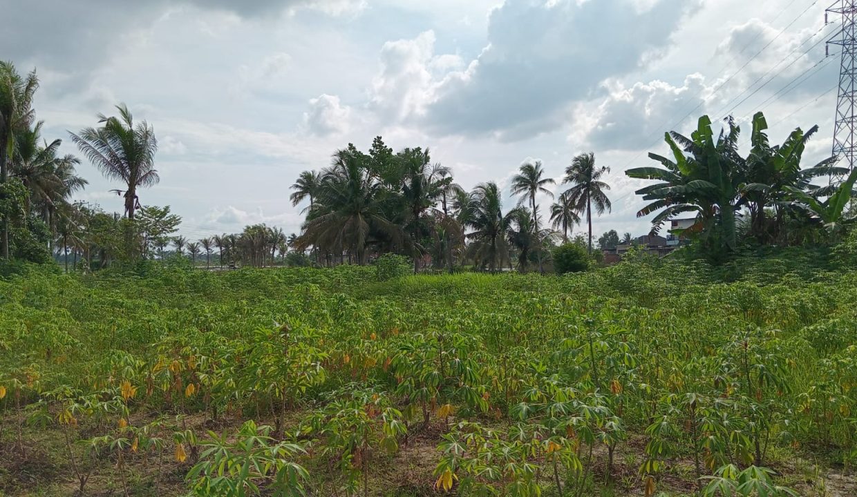 TANAH TALANG PUTRI SUNGAI PINANG PLAJU PALEMBANG (3)