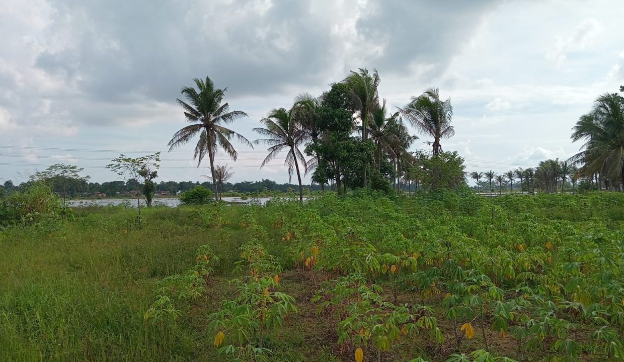 TANAH TALANG PUTRI SUNGAI PINANG PLAJU PALEMBANG (5)