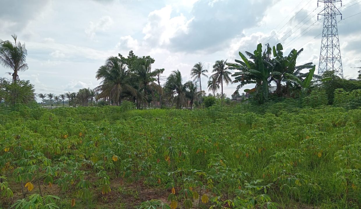 TANAH TALANG PUTRI SUNGAI PINANG PLAJU PALEMBANG (6)