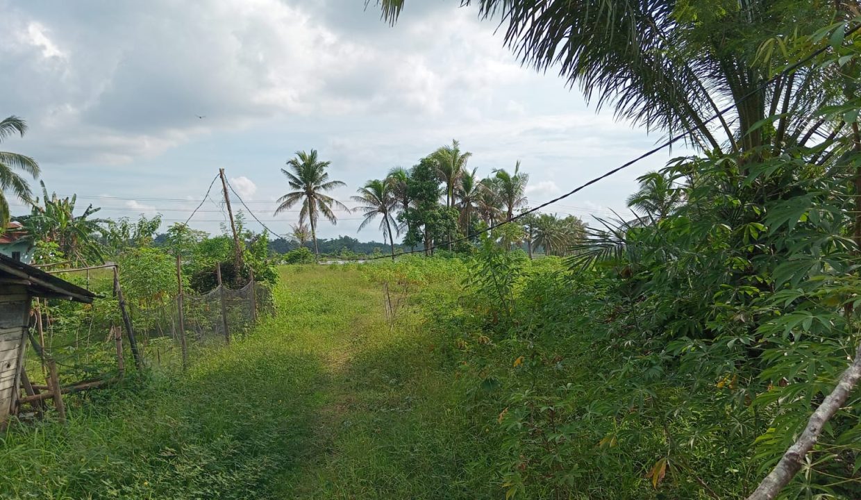 TANAH TALANG PUTRI SUNGAI PINANG PLAJU PALEMBANG (7)
