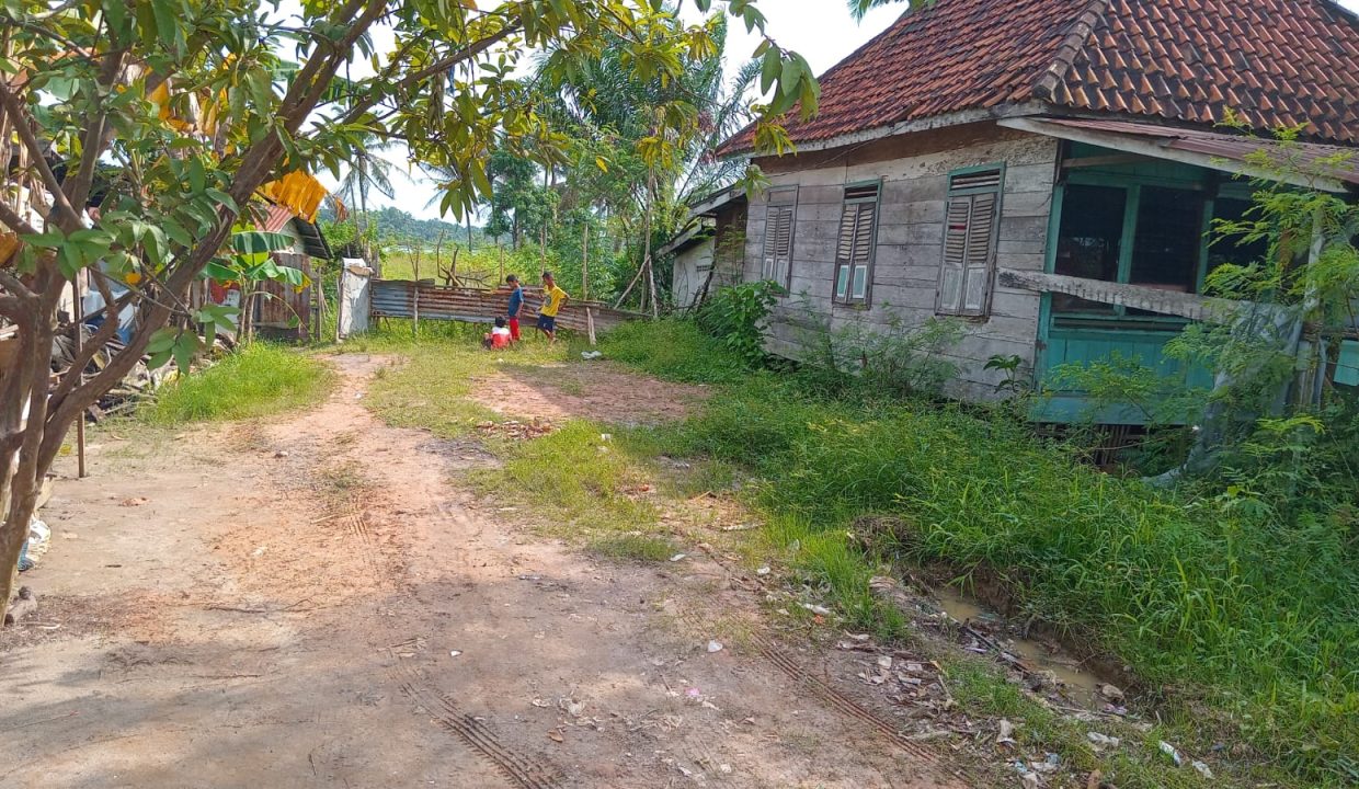 TANAH TALANG PUTRI SUNGAI PINANG PLAJU PALEMBANG (9)