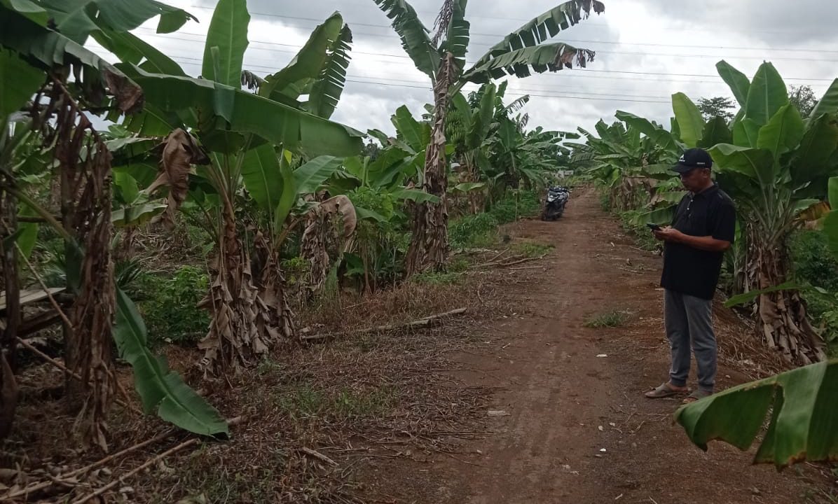 TELUK PAYO (3)