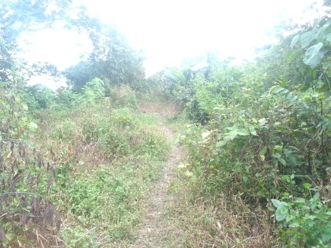 TANAH SEI SELINCAH KALIDONI PALEMBANG (1)