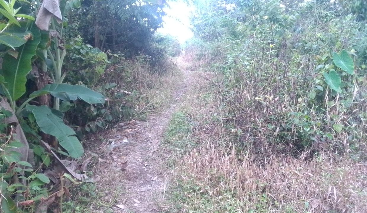 TANAH SEI SELINCAH KALIDONI PALEMBANG (4)