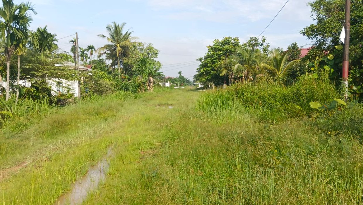 TANAH SRI MULYO SEMATANG BORANG PALEMBANG (1)