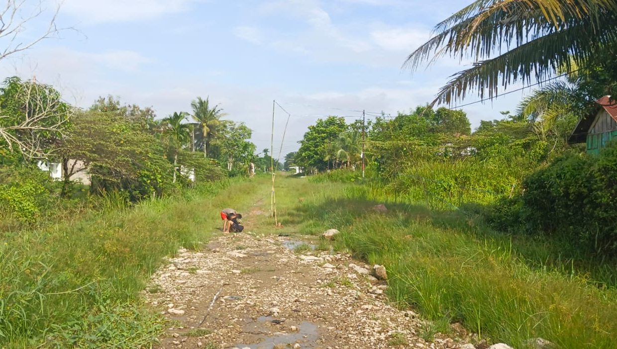 TANAH SRI MULYO SEMATANG BORANG PALEMBANG (10)
