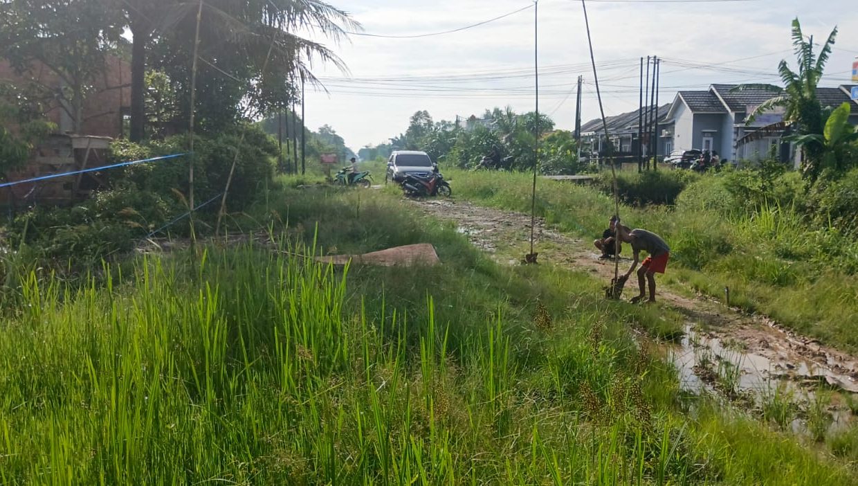 TANAH SRI MULYO SEMATANG BORANG PALEMBANG (7)