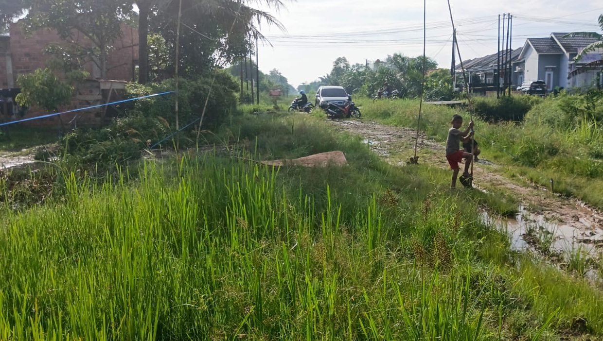 TANAH SRI MULYO SEMATANG BORANG PALEMBANG (8)