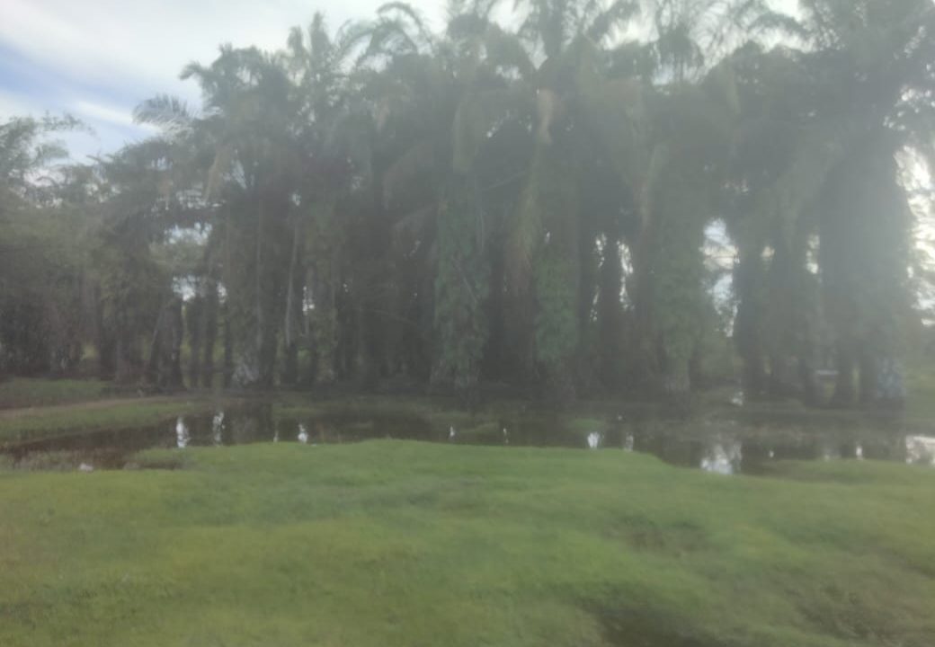 DIJUAL TANAH 6,4 HEKTAR BUKIT BARU PALEMBANG (3)