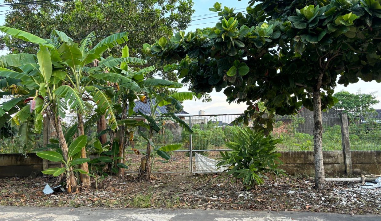 TANAH DIJUAL JALAN PADANG KAPAS BUKIT PALEMBANG (1)