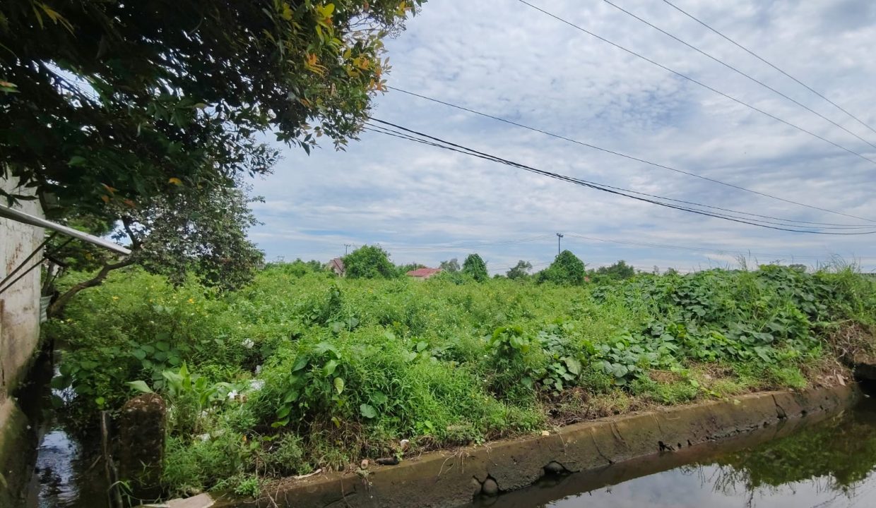 TANAH JALAN PADAT KARYA PALEMBANG (1)