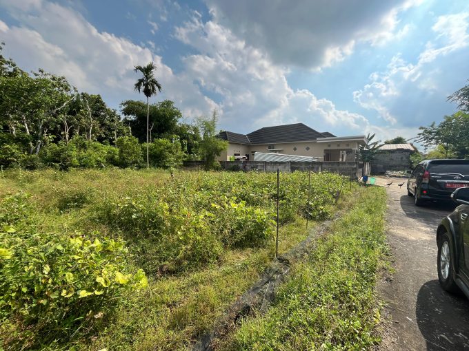 TANAH TALANG JAMBE PALEMBANG (1)