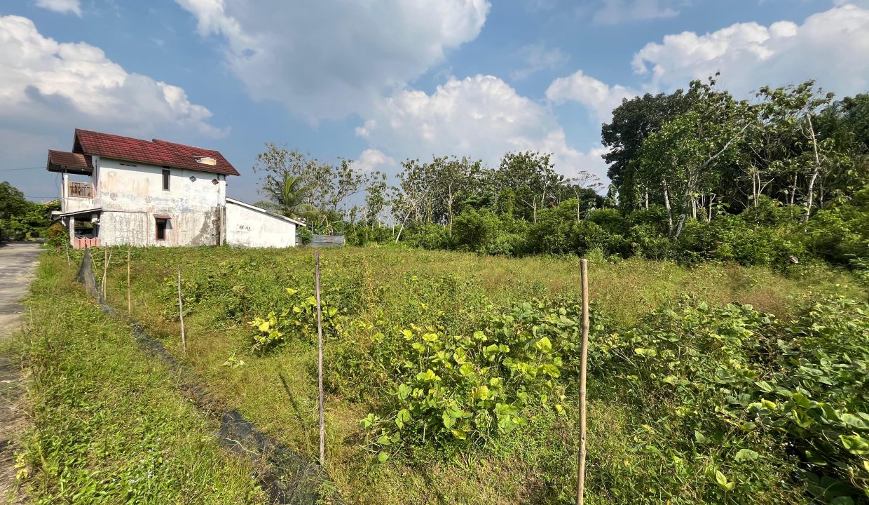 TANAH TALANG JAMBE PALEMBANG (3)