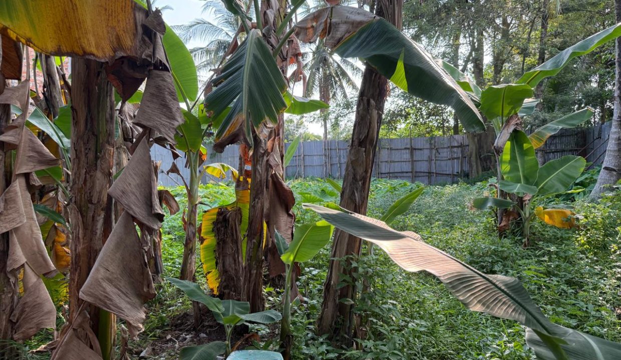 DIJUAL RUMAH SENTOSA PLAJU PALEMBANG (978)