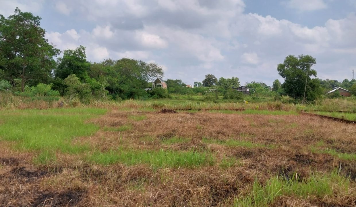DIJUAL TANAH TANJUNG BARANGAN PALEMBANG (2)