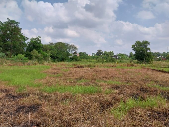 DIJUAL TANAH JALAN TANJUNG BARANGAN BUKIT BARU PALEMBANG