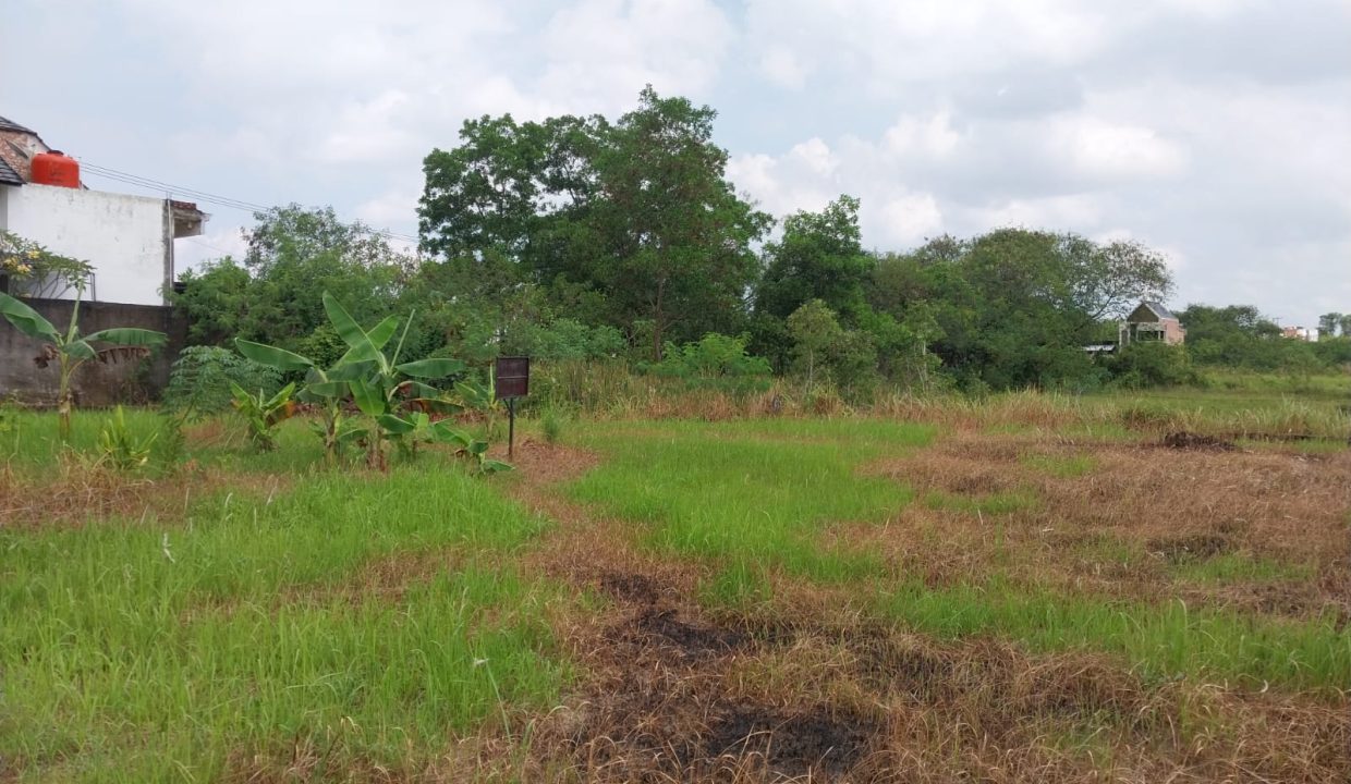 DIJUAL TANAH TANJUNG BARANGAN PALEMBANG (3)