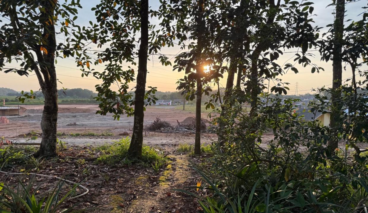 TANAH TANJUNG BARANGAN PALEMBANG (1)