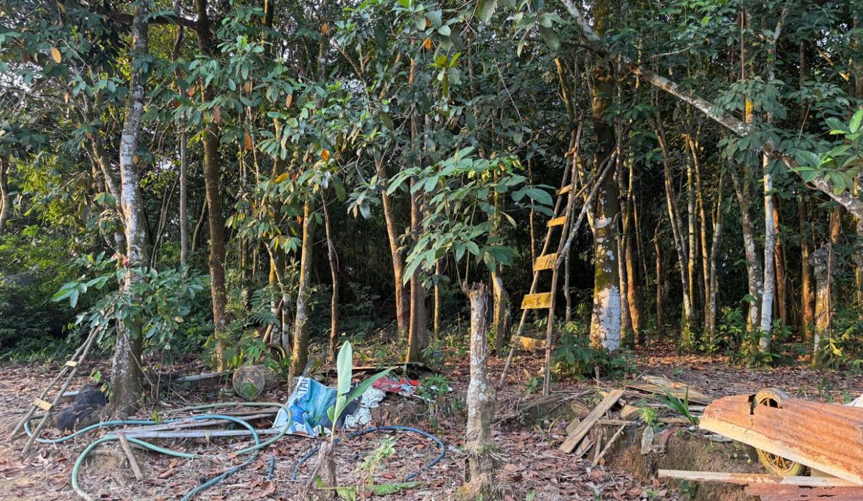 TANAH TANJUNG BARANGAN PALEMBANG (3)