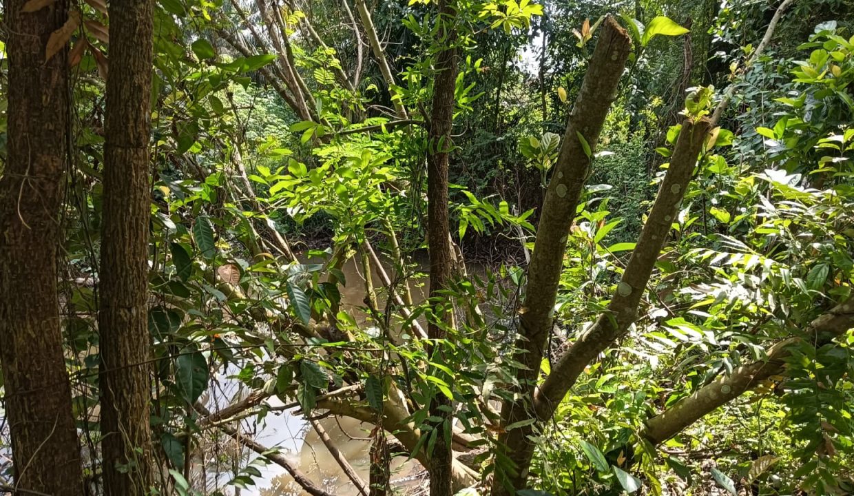 DIJUAL TANAH JALAN SUKASARI SOEKARNO HATTA PALEMBANG (3)