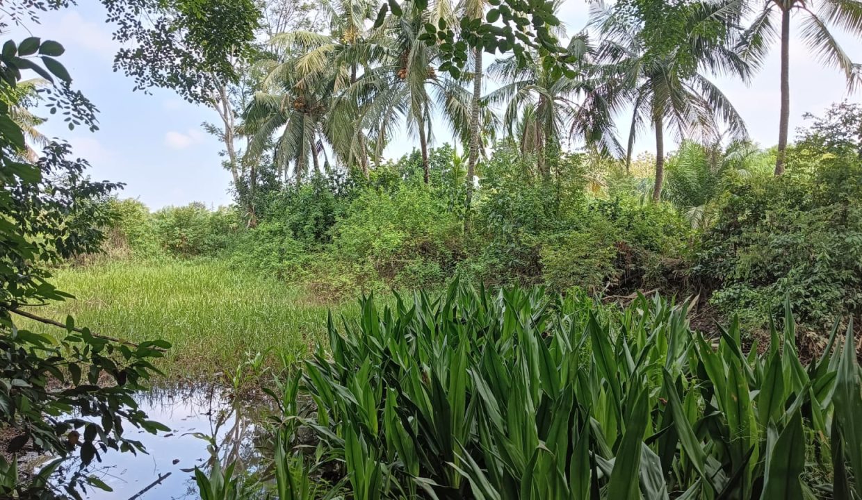 DIJUAL TANAH JALAN SUKASARI SOEKARNO HATTA PALEMBANG (4)