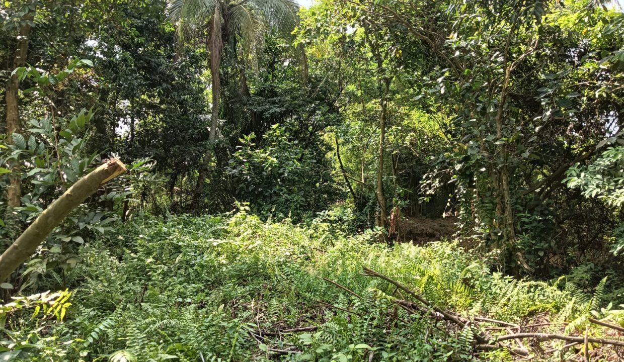 DIJUAL TANAH JALAN SUKASARI SOEKARNO HATTA PALEMBANG (6)