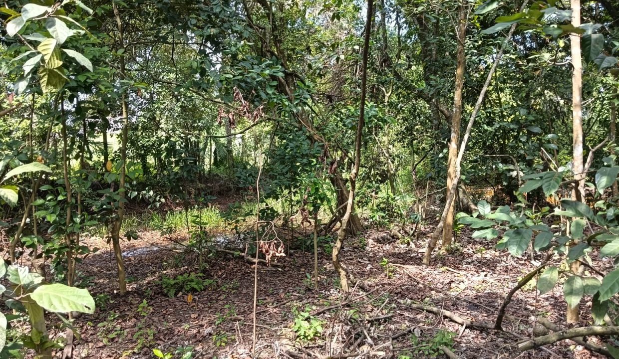 DIJUAL TANAH JALAN SUKASARI SOEKARNO HATTA PALEMBANG (8)